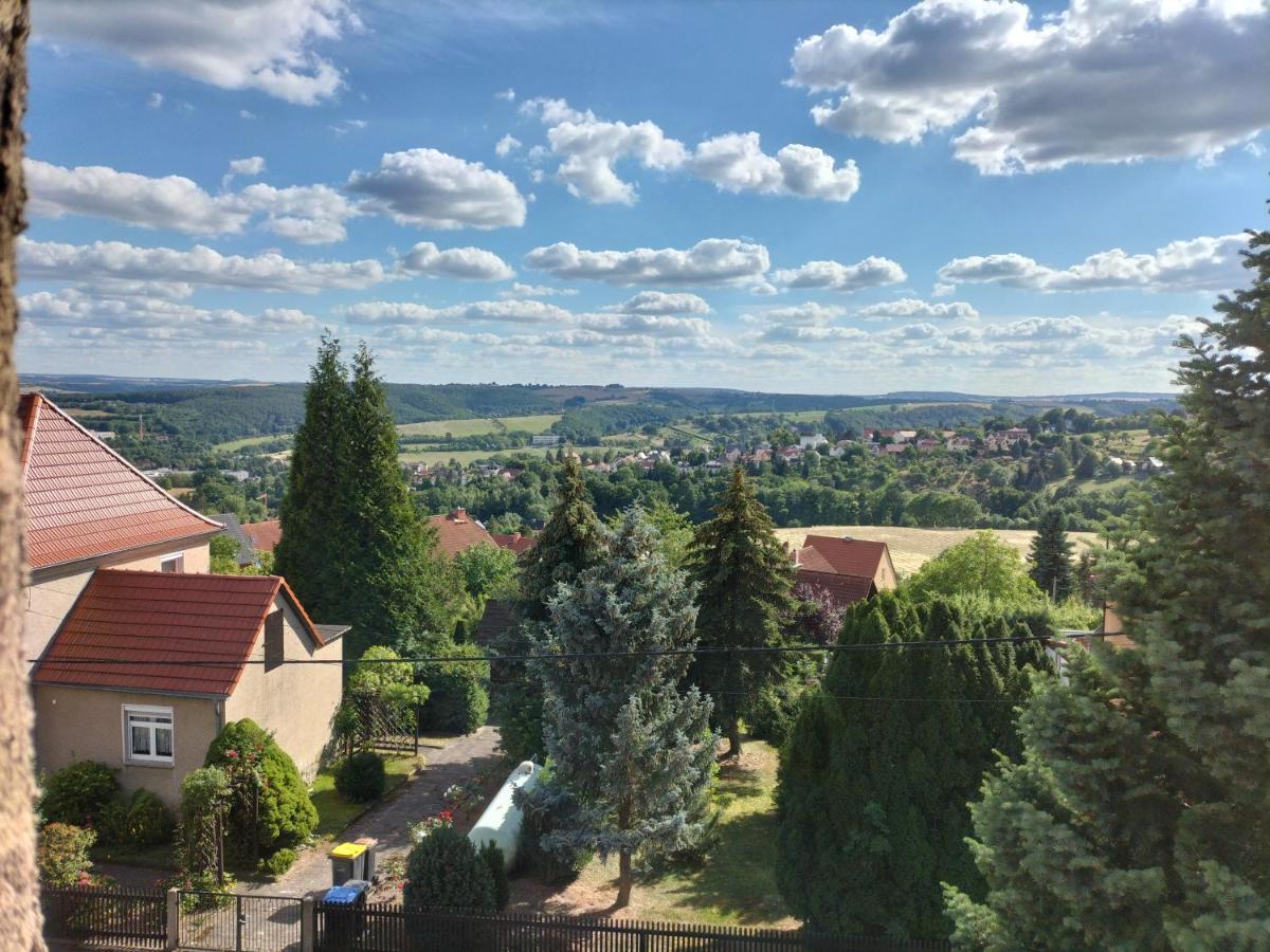 Fewo Zur Alten Drechslerei Freital Bagian luar foto